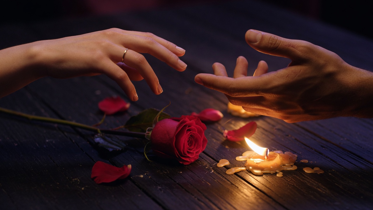 Two hands almost touching with a rose between them